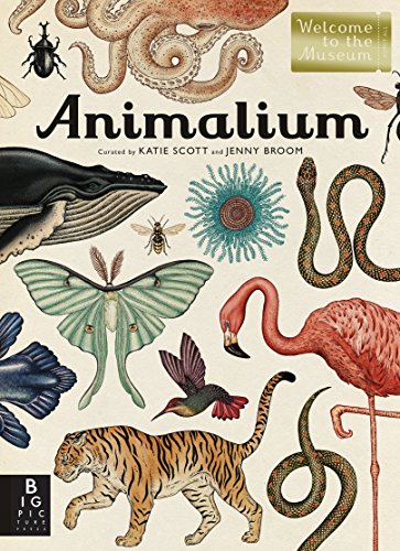 animalium book
